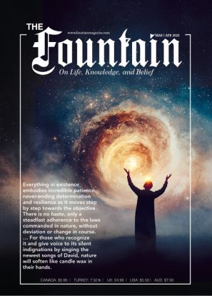 Issue 164 (Mar - Apr 2025)